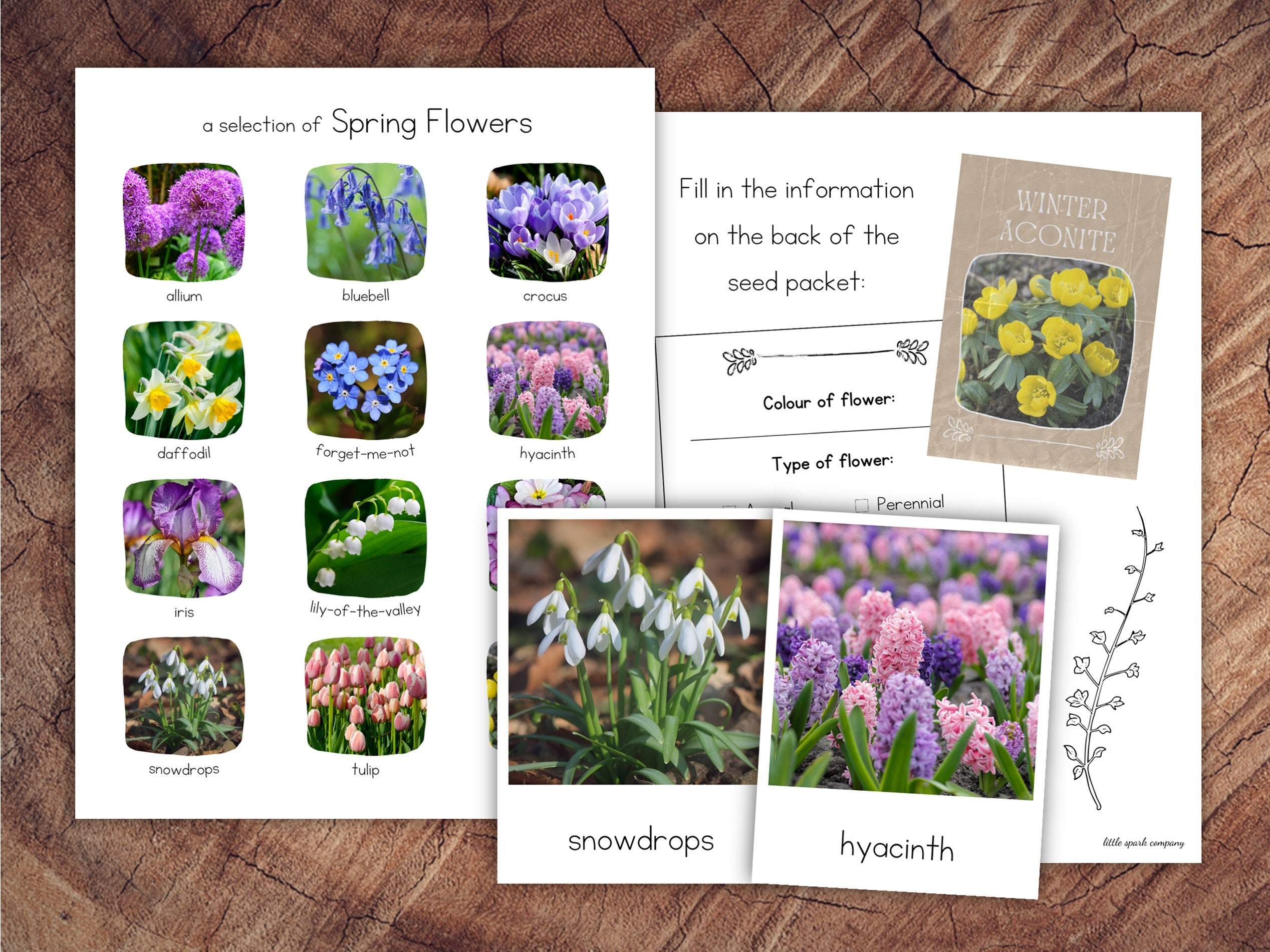 Spring Flowers Pack With Extension - Etsy, image size:2535x1901