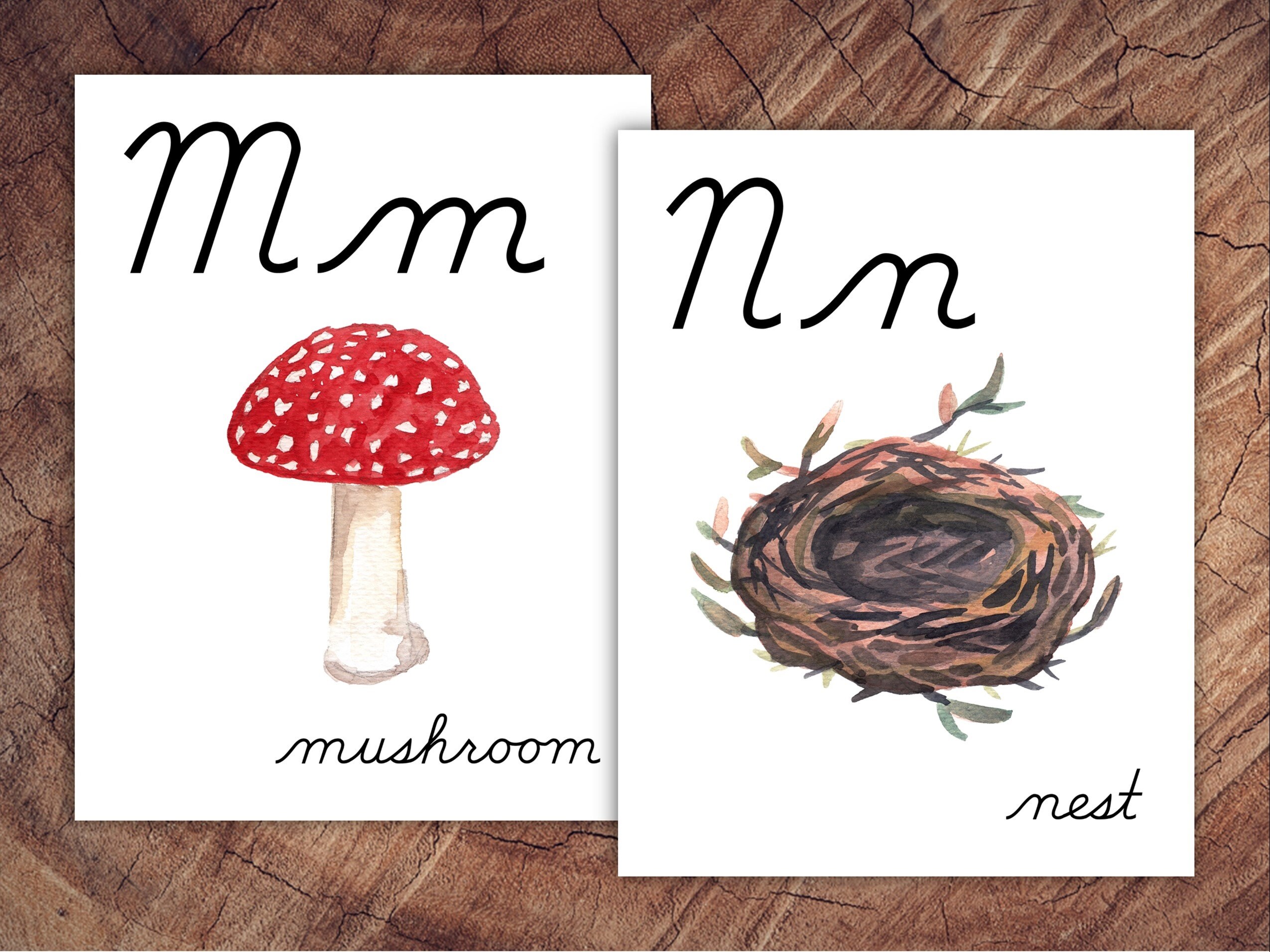 Cursive Alphabet Posters, Large Format for Classroom Use - Etsy