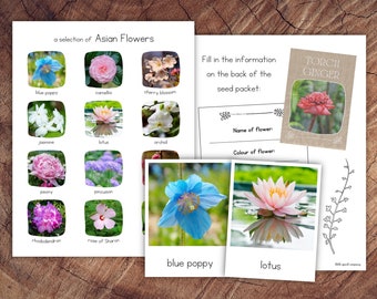 Asian Flowers Pack with Extension