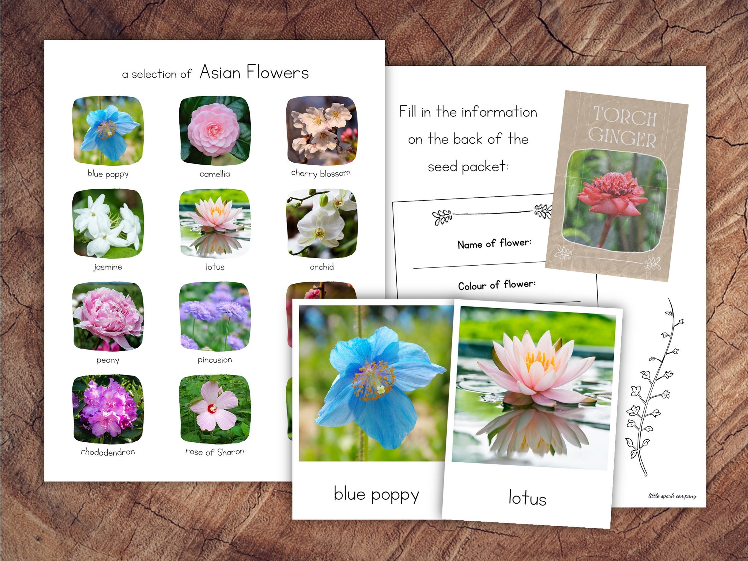 未開封品　ＦＬＯＷＥＲ ２０１５ ＸＩＡ ３ＲＤ ＡＳＩＡ ＴＯ Album] XIA Junsu's 3rd – FLOWER | 