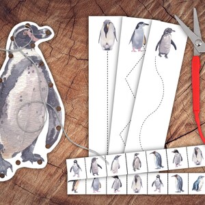 Playful Penguins Bundle, Homeschool Printable - Etsy
