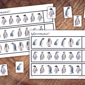 Playful Penguins Bundle, Homeschool Printable - Etsy