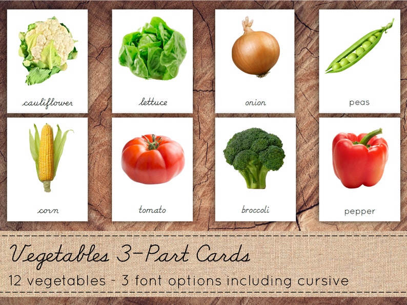 Vegetables 3part Cards Montessori Nomenclature Cards Etsy