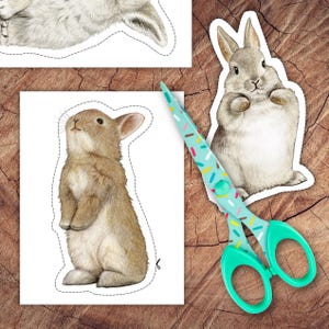 May include: Two printable cut-out images of brown rabbits. One rabbit is standing on its hind legs with its front paws raised. The other rabbit is sitting with its paws tucked under its chin. Both rabbits have white fur on their bellies.