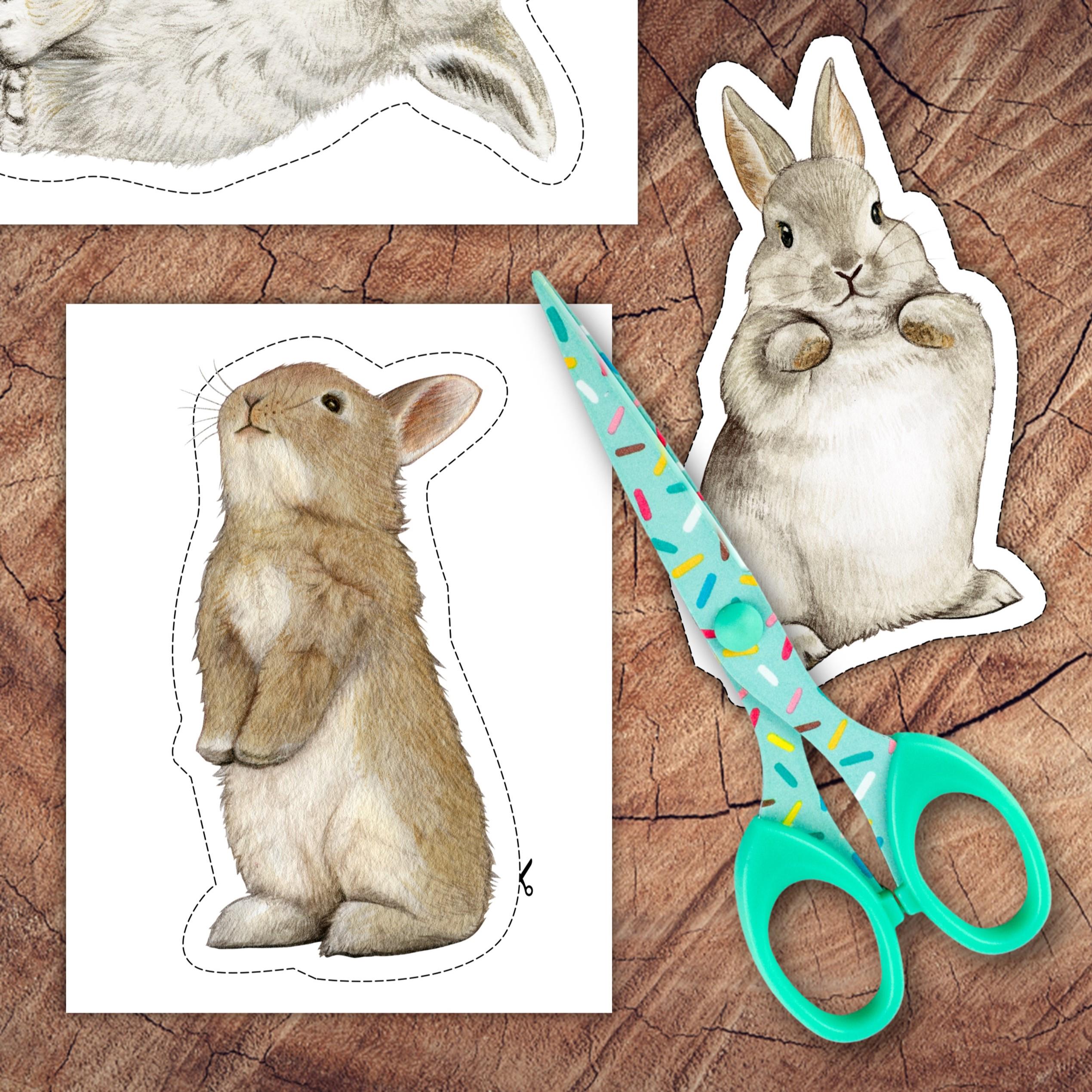 Rabbit Outline Tracing, Scissor Practice, Pin Punching