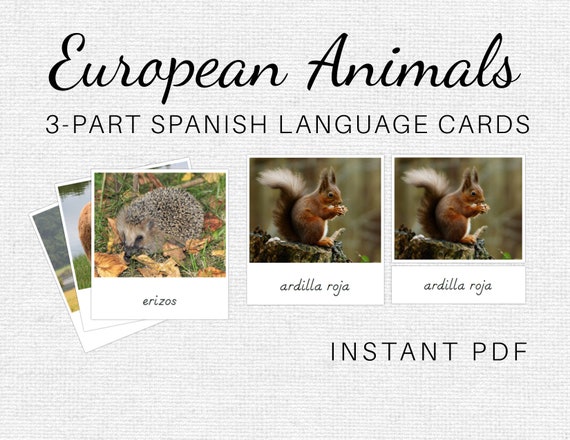 Montessori Language Materials Animal Match Cards Africa Animals Montessori Lea
