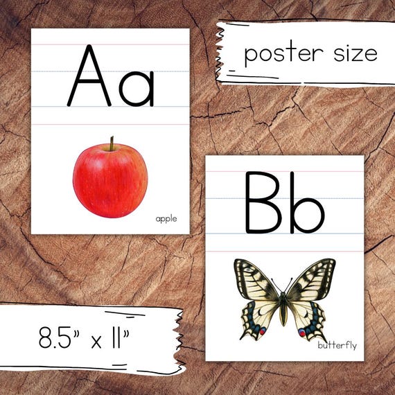 Alphabet Posters Lined, Large Format for Classroom Use