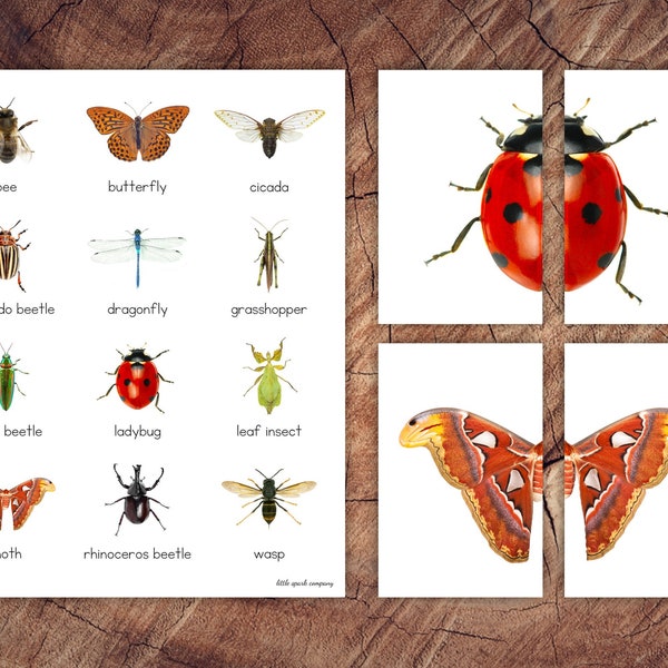 Insect Symmetry Puzzles, Matching Cards, Toddler Preschool Activity