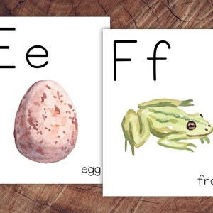 May include: Two educational cards with the letters "E" and "F". The "E" card features a watercolor illustration of an egg, with the word "egg" below. The "F" card shows a green frog, with the word "frog" below. The cards are on a wooden surface.