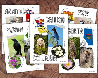 Canadian Provinces and Territories Poster Set , Homeschool Geography