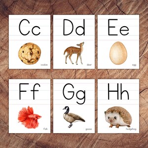 May include: Flashcards with uppercase and lowercase letters C through H. Each card features a picture and the name of an object that starts with that letter: cookie, deer, egg, fish, goose, hedgehog.