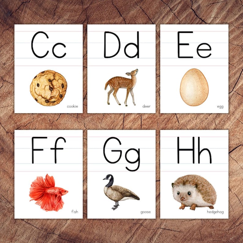 May include: Flashcards with uppercase and lowercase letters C through H. Each card features a picture and the name of an object that starts with that letter: cookie, deer, egg, fish, goose, hedgehog.