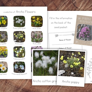 Pakiet Arctic Flowers z rozszerzeniem