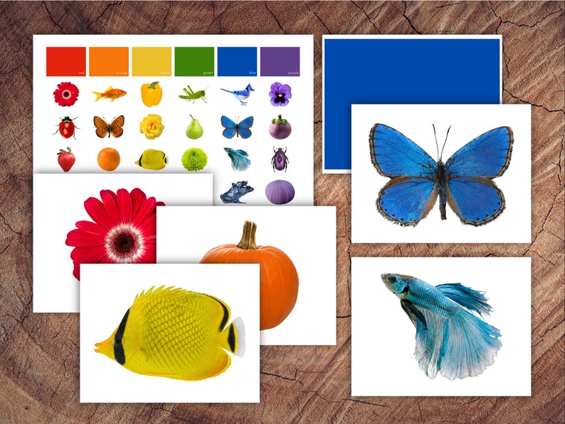 Isolated Objects Colour Sorting Cards, Toddler Preschool Colour Sorting ...