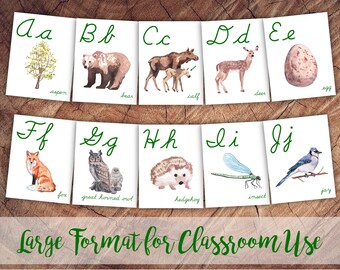 Forest Explorer Alphabet Cards Cursive, Large Format for Classroom Use