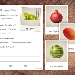 Fruits Pack with Extension image 4
