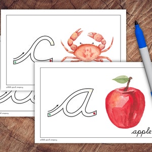 Cursive Primer Cards, Lowercase Edition