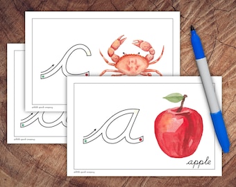 Cursive Primer Cards, Lowercase Edition