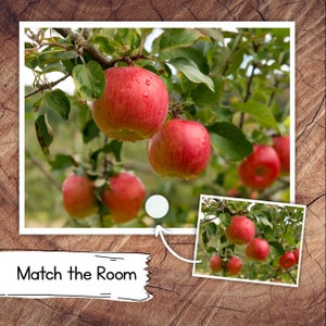 Aa sta per Apple Match the Room, Scuola dell'infanzia Montessori