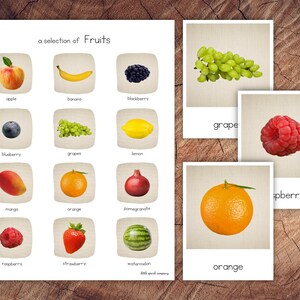 Fruits Pack with Extension image 2