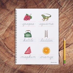 May include: A printable worksheet with handwriting practice lines and illustrations of grapes, an iguana, a kettle, a ladder, a napkin, and an orange. The words "grapes", "iguana", "kettle", "ladder", "napkin", and "orange" are written in cursive handwriting.