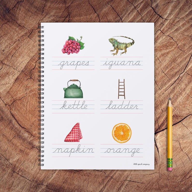 May include: A printable worksheet with handwriting practice lines and illustrations of grapes, an iguana, a kettle, a ladder, a napkin, and an orange. The words "grapes", "iguana", "kettle", "ladder", "napkin", and "orange" are written in cursive handwriting.