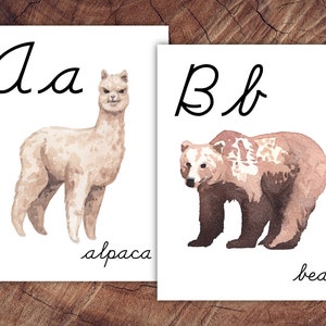 Pósteres del alfabeto de animales del mundo, CURSIVO, gran formato para uso en el aula