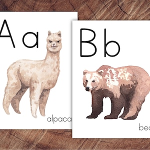 Pósteres del alfabeto de animales del mundo, gran formato para uso en el aula
