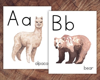 May include: Two alphabet flashcards with watercolor illustrations. The first card shows the letter A and a brown alpaca. The second card shows the letter B and a brown bear.
