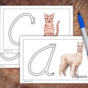 Cursieve Primer Cards, hoofdlettereditie
