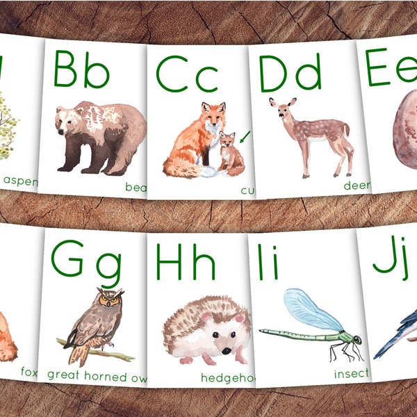 Forest Explorer Alphabet Cards, Woodland Animal Nursery Decor