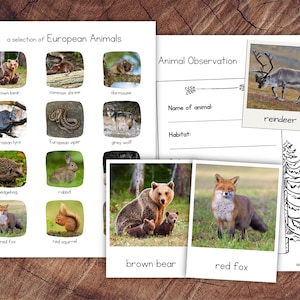 Pack Animales Europeos con Extensión
