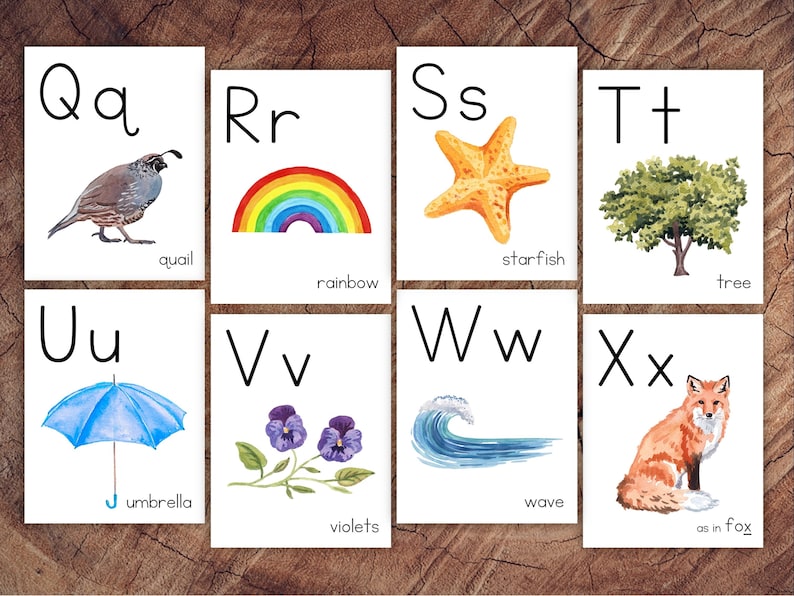 May include: Alphabet flash cards with illustrations for each letter. The letters are printed in black and the illustrations are in watercolor. The letters are Q, R, S, T, U, V, W, and X. The illustrations are a quail, a rainbow, a starfish, a tree, an umbrella, violets, a wave, and a fox.