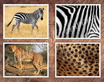African Animals Fur, Skin Pattern Matching, Toddler Preschool Activity
