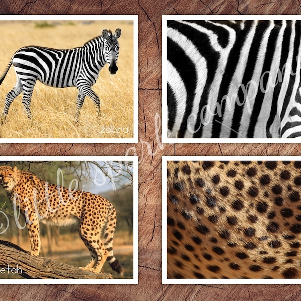 African Animals Fur, Skin Pattern Matching, Toddler Preschool Activity