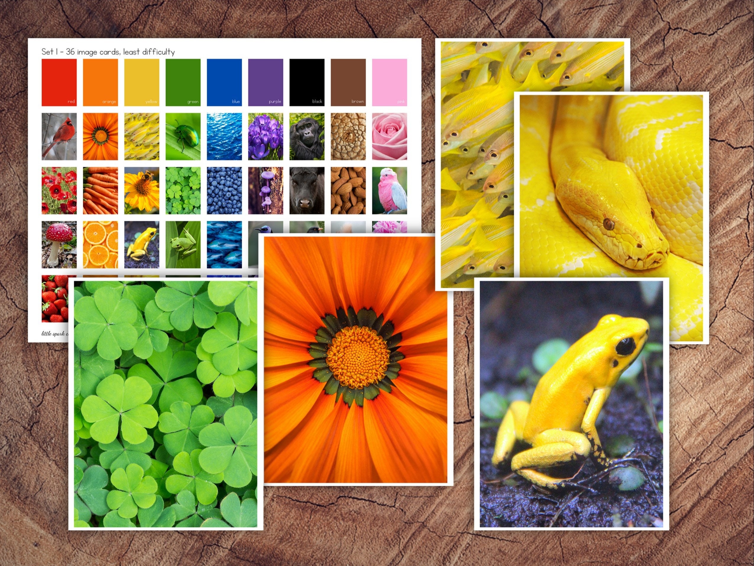 The BIG Colours in Nature Colour Sorting Set - Etsy