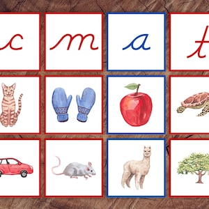 Juego de tarjetas para clasificar imágenes con sonidos de letras iniciales, edición cursiva, consonantes rojas, vocales azules