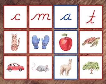 Beginning Letter Sounds Picture Sorting Card Set, Cursive Edition, Red Consonants Blue Vowels