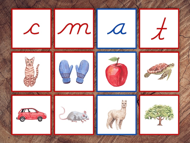 Beginning Letter Sounds Picture Sorting Card Set, Cursive Edition, Red Consonants Blue Vowels image 1
