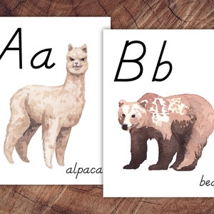Cartazes do alfabeto Animais do Mundo, impressão estilo D'Nealian, formato grande para uso em sala de aula