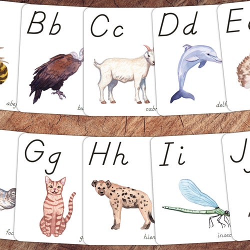 Animals of the World Alphabet Cards SPANISH Animal Nursery - Etsy Canada Animals of the World Alphabet Cards SPANISH Animal Nursery - Etsy Canada