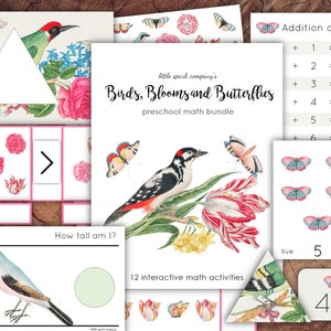 Birds, Blooms and Butterflies Preschool Math Bundle, Homeschool Printable