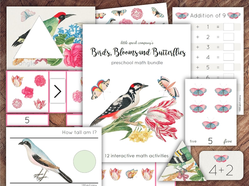 Birds, Blooms and Butterflies Preschool Math Bundle, Homeschool Printable image 1