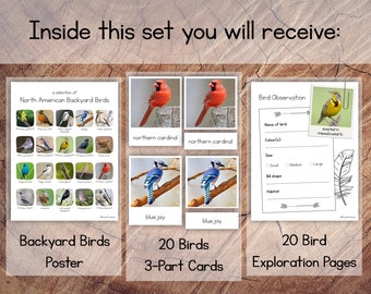 中古】(未使用・未開封品)Nature: Birds [DVD]