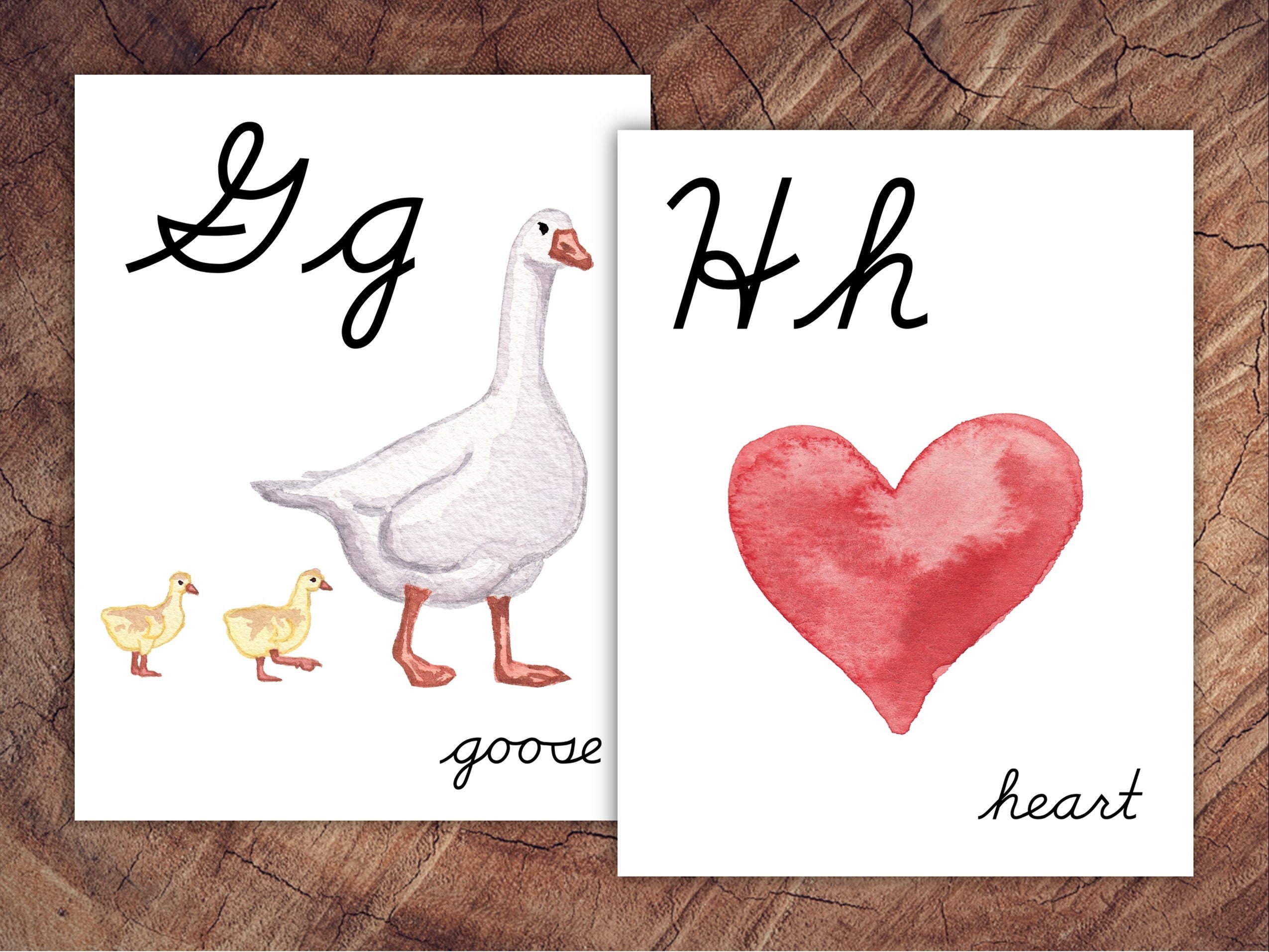 Cursive Alphabet Posters, Large Format for Classroom Use - Etsy