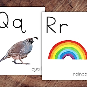 May include: Two white cards with black uppercase and lowercase letters. One card shows "Qq" with a watercolor quail and the word "quail". The other card shows "Rr" with a watercolor rainbow and the word "rainbow".