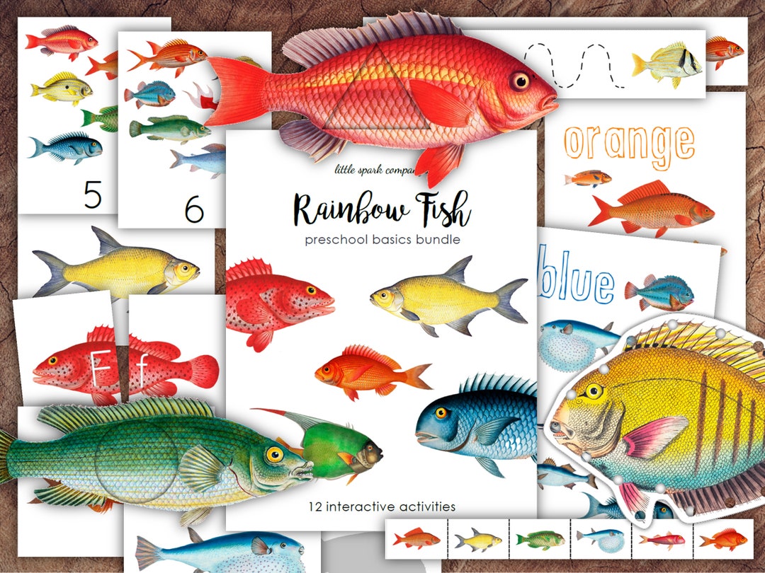 Watercolor Paint By Number: Rainbow Fish Worksheets