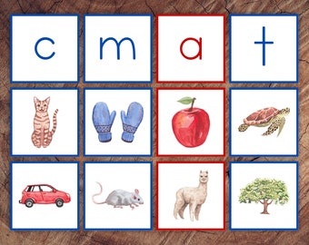 Beginning Letter Sounds Picture Sorting Card Set, Blue Consonants Red Vowels