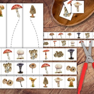 Wild Mushrooms Scissor Strips Set, Preschool Scissor Practice