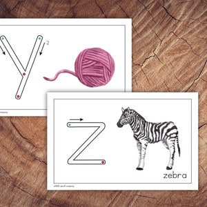 Printing Primer Cards, Lowercase Edition - Etsy